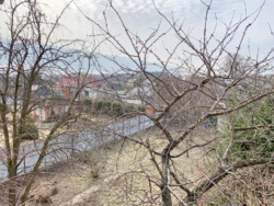 ���� � ������ ������� �� ������ �������� ���� 21