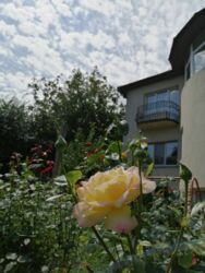 Здається будинок Київ, Святошинський фото 1 Здається будинок Київ, Святошинський фото 1