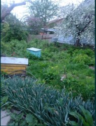 Здається будинок Київська, Білоцерківський, Біла Церква, Заріччя фото 5 Здається будинок Київська, Білоцерківський, Біла Церква, Заріччя фото 5