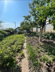 Здається будинок Київська, Білоцерківський, Біла Церква фото 2 Здається будинок Київська, Білоцерківський, Біла Церква фото 2