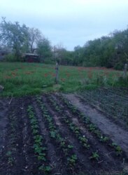 Здам частину будинку фото 1 Здам частину будинку фото 1