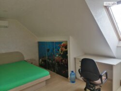 ������� ������� ��������, ³�����, ³�������, �������� ���� 1