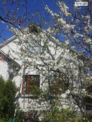 Здається будинок Вінницька, Вінниця, Ближнє замостя, Могильчака фото 2 Здається будинок Вінницька, Вінниця, Ближнє замостя, Могильчака фото 2