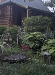 Оренда будинку біля річки Десна, село Рожни, кооператив Трудовик фото 5 Оренда будинку біля річки Десна, село Рожни, кооператив Трудовик фото 5