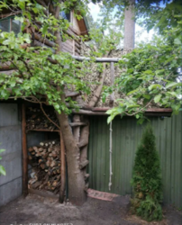 Оренда будинку в Процеві фото 13 Оренда будинку в Процеві фото 13