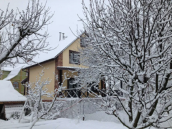 Будинок в селі Пухівка фото 3 Будинок в селі Пухівка фото 3