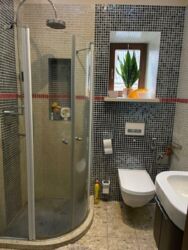 Оренда будинку на вул Кобзарська фото 13 Оренда будинку на вул Кобзарська фото 13