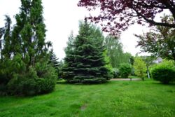 Оренда будинку в Козині фото 4 Оренда будинку в Козині фото 4