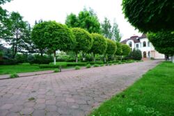 Оренда будинку на березі річки Козинка фото 6 Оренда будинку на березі річки Козинка фото 6