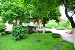 Оренда будинку на березі річки Козинка фото 3 Оренда будинку на березі річки Козинка фото 3