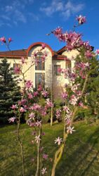 Оренда будинку на березі річки Козинка фото 1 Оренда будинку на березі річки Козинка фото 1