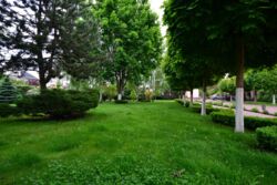 Оренда будинку на березі річки Козинка фото 5 Оренда будинку на березі річки Козинка фото 5