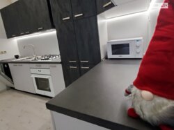 Оренда таунхауса на вул. Освіти фото 2 Оренда таунхауса на вул. Освіти фото 2