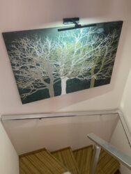 ��������. ����������� ������� � �������� �����������. ���� 12