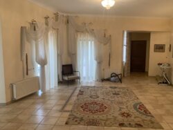 🏖        |   🌿.  14