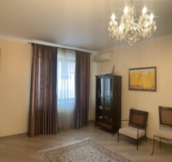 🏖        |   🌿.  11