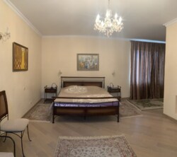 🏖        |   🌿.  12