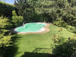 ������ ����