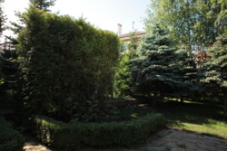 АРЕНДА! Роскошный дом на 30 сотках в Совиньоне! фото 16 АРЕНДА! Роскошный дом на 30 сотках в Совиньоне! фото 16