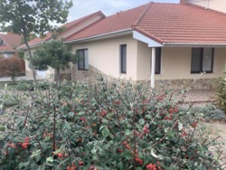 🏖        |   🌿.  18