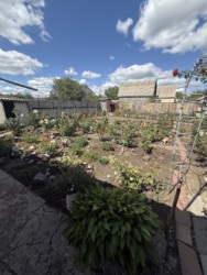 ������� ������� ���. ��������. ���� 14