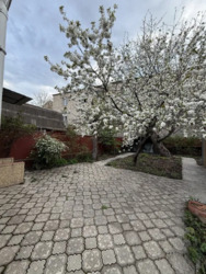 ������� ������� ��� � ������ ���� 5