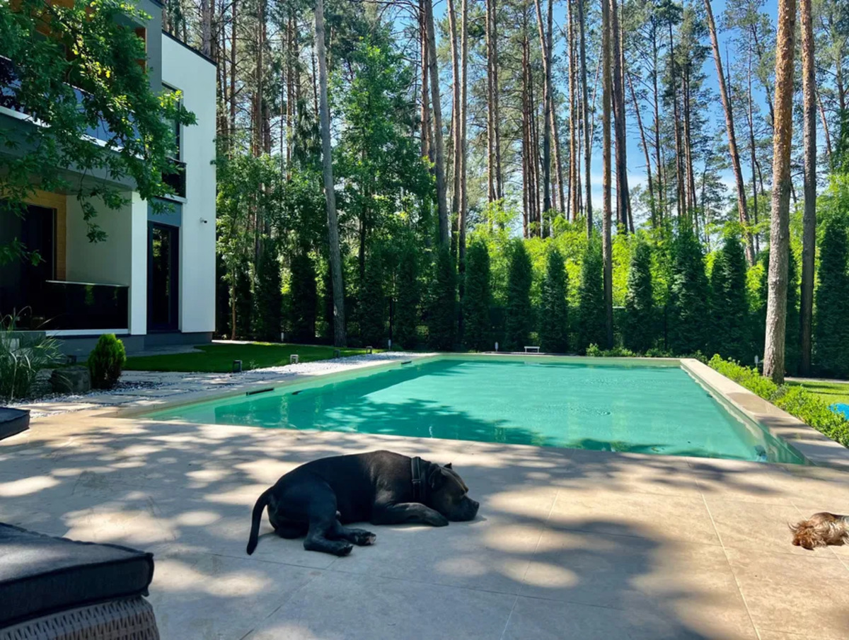 ������� ������� ���� ���������, �����������, ������� ���� 1