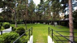 ������� ������� �������, �����������, �����, ������������, 5 ���� 54