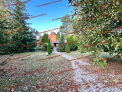   , ,   11