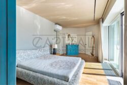 ������� ������� �����, �����������, ������� ���� 12