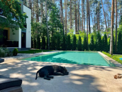 ������� ������� ���� ���������, �����������, ������� ���� 1