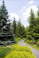 Здається будинок Київ, Соломенський, Радченко Петра ул. фото 6 Здається будинок Київ, Соломенський, Радченко Петра ул. фото 6