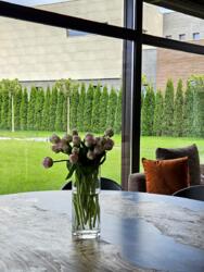 ������� ������� �������, �����������, �������, ������ ���� 7