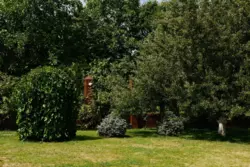  , ,    18