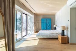 ������� ������� �����, �����������, ������� ���� 11