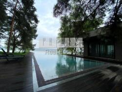 ������� ������� �������, �����������, ������� ���� 19