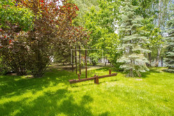 ������� ������� �����, �����������, ������� ���� 15