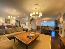 ������� ������� �����, �����������, ������� ���� 4