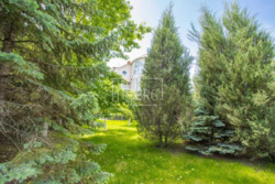 ������� ������� �����, �����������, ������� ���� 19