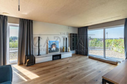 ������� ������� �����, �����������, ������� ���� 18