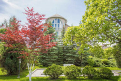 ������� ������� �����, �����������, ������� ���� 13