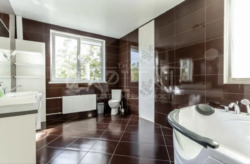 ������� ������� ��� ���� 16