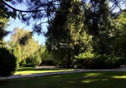 ������� ������� �����, �����������, ������� ���� 14