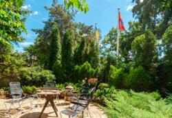 ������� ������� ˳�����, ����-�������������, ������� ���� 24