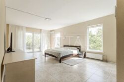 ������� ������� ��� ���� 21