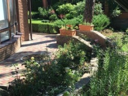 Уютный дом в Пуще с очень красивой территорией фото 14 Уютный дом в Пуще с очень красивой территорией фото 14