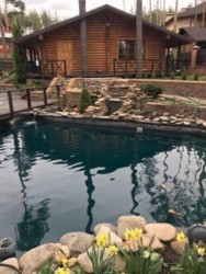 Уютный дом в Пуще с очень красивой территорией фото 2 Уютный дом в Пуще с очень красивой территорией фото 2