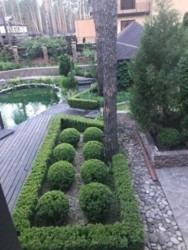 Уютный дом в Пуще с очень красивой территорией фото 8 Уютный дом в Пуще с очень красивой территорией фото 8