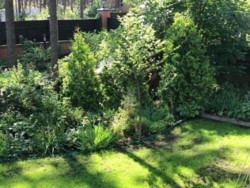 Уютный дом в Пуще с очень красивой территорией фото 15 Уютный дом в Пуще с очень красивой территорией фото 15