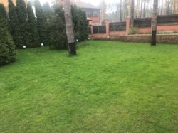 Уютный дом в Пуще с очень красивой территорией фото 12 Уютный дом в Пуще с очень красивой территорией фото 12